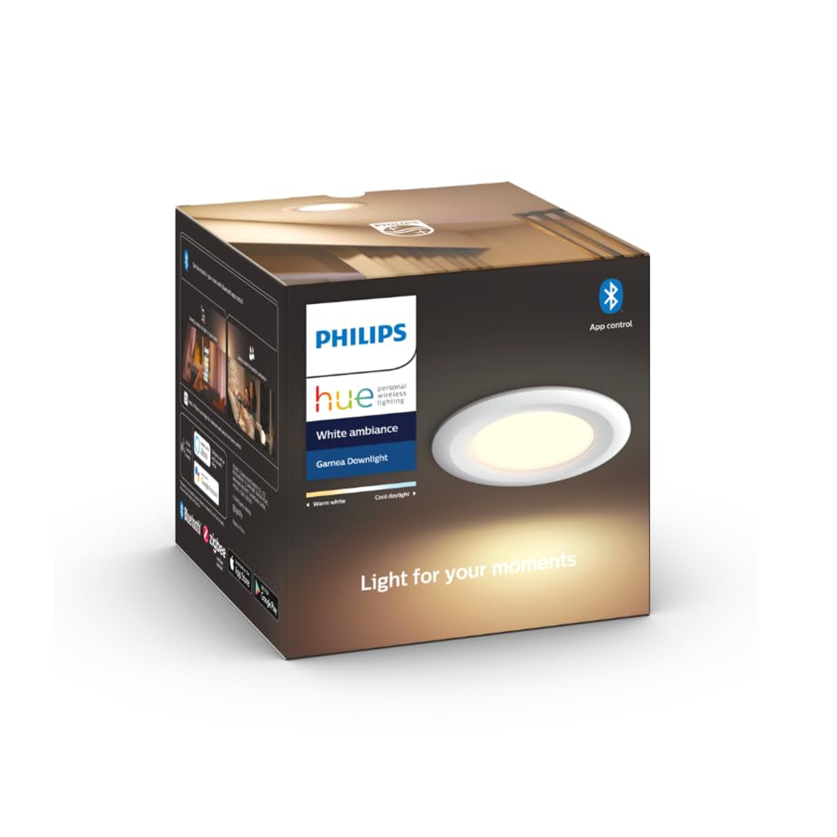 Philips Hue Garnea Downlight