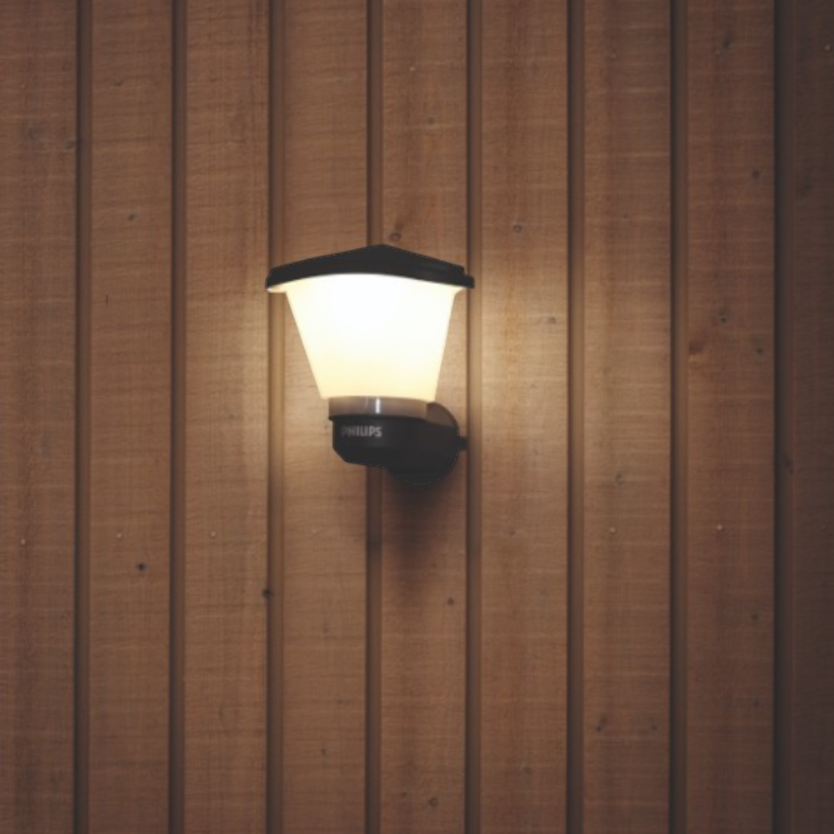 Philips Sterling Outdoor Wall light