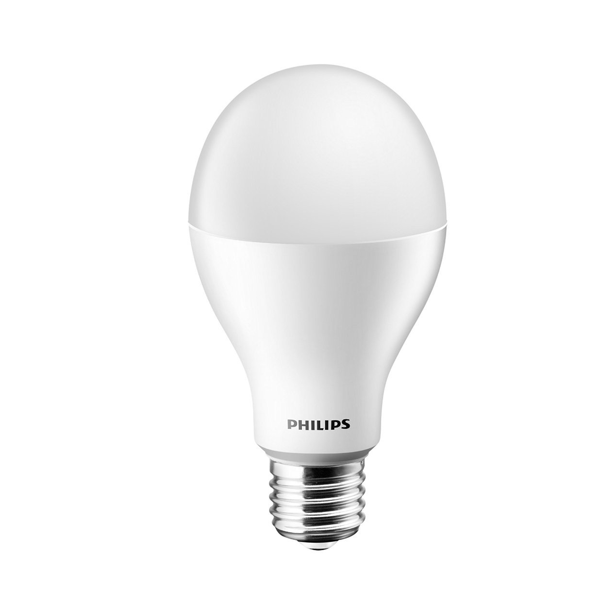 Philips AceBright LED Bulb
