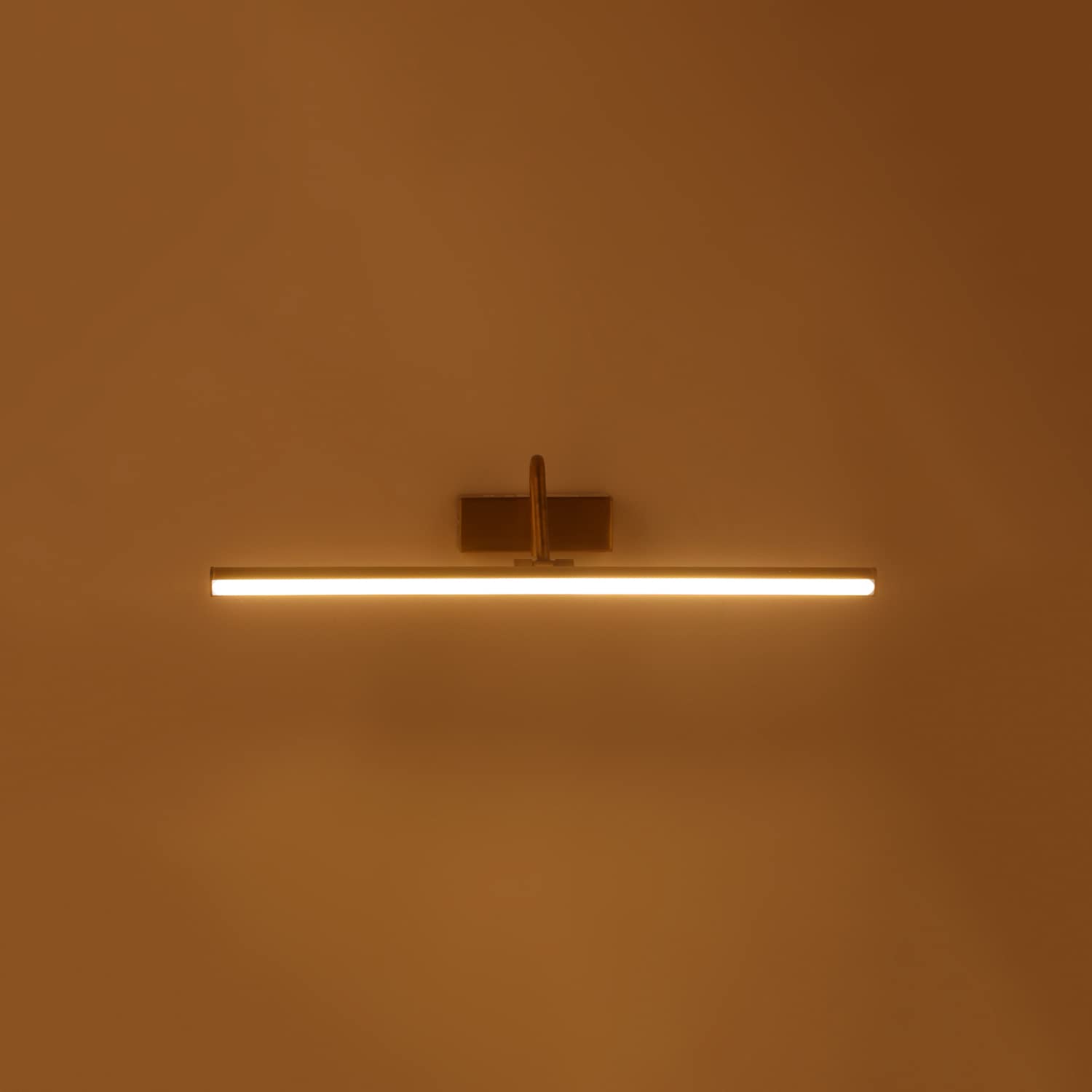 Philips Muziris Bronze Picture Light