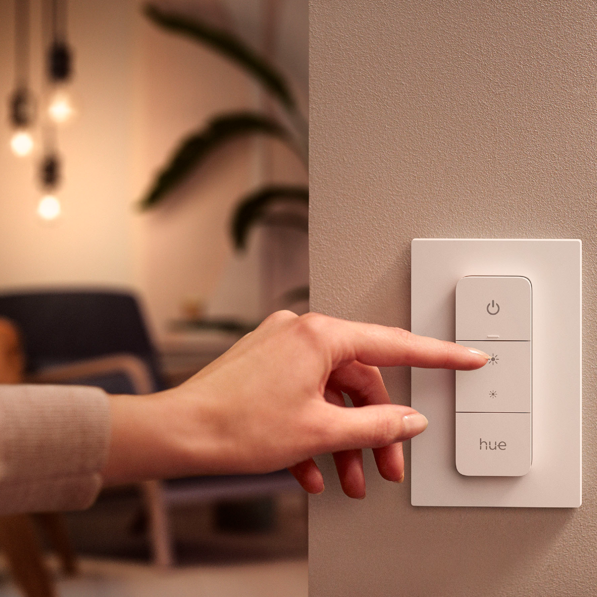 Philips Hue Dimmer Switch